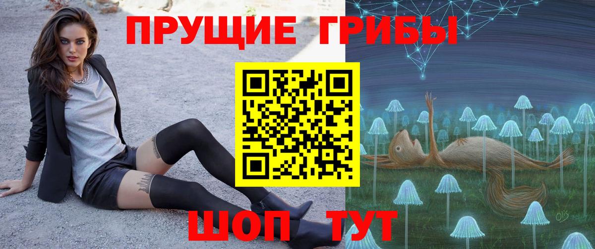 Галлюциногенные грибы мицелий  Псилоцибиновые грибы Psilocybe  Людиново  Вход с VPN 